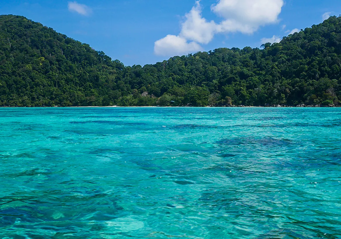 Snorkeling